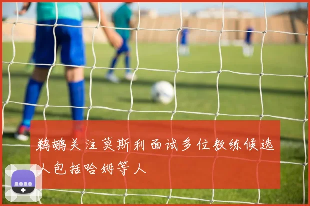 鹈鹕关注莫斯利面试多位教练候选人包括哈姆等人