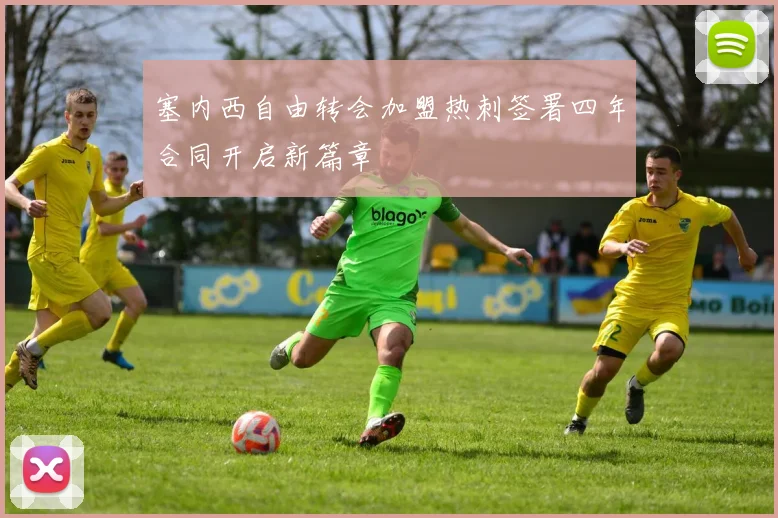 塞内西自由转会加盟热刺签署四年合同开启新篇章